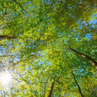 ★波動を上げるには？｜自分も相手も癒される “言葉の力”