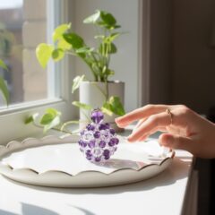 ◉一粒の光の種