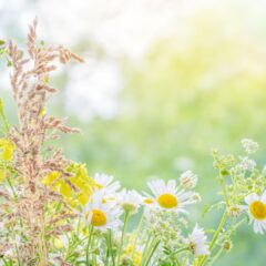 「私は、私を生きていた」
