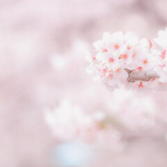 ★同じ感情が繰り返されていたことに気づいたとき