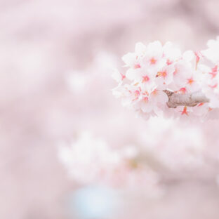 ★同じ感情が繰り返されていたことに気づいたとき