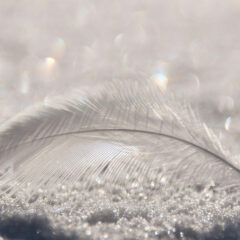 ★考えすぎてしまうとき、見えてきたこと