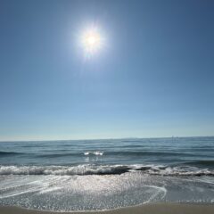 ★「発信は苦手」と思っていた私が、気づいたこと